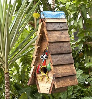 Wholesale Cuckoos Nest Bird House
