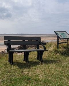 Wholesale Eco Park Bench Arms 1.5m