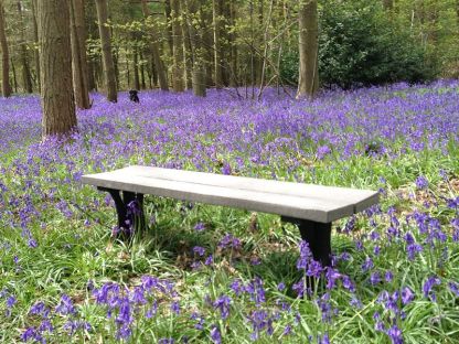 Wholesale Eco 1.5m Backless Bench