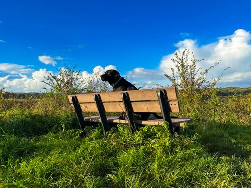 Wholesale Eco Park Bench 1.3m
