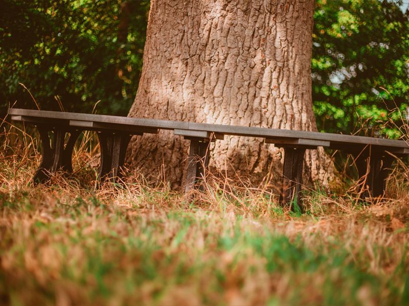 Wholesale Eco Curved Backless Bench
