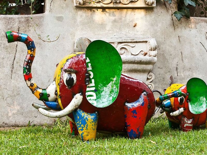 Bub the Baby Elephant