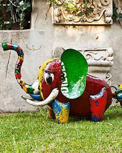 Bub the Baby Elephant