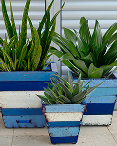 Wholesale Collaroy Square Planters (Set Of Three)