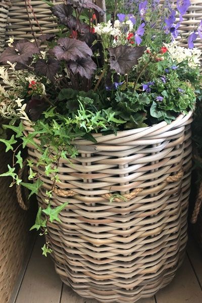 Wholesale Fiji Basket 