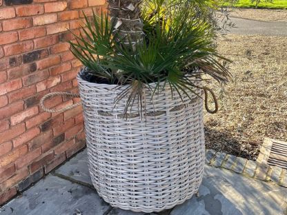 Wholesale Fiji Basket 