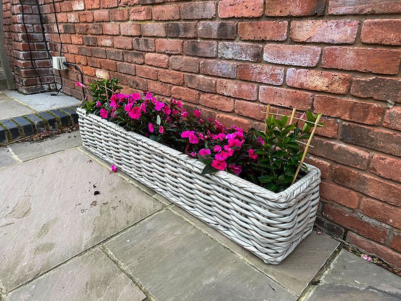 Wholesale Fiji Trough Planter