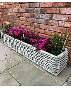 Wholesale Fiji Trough Planter
