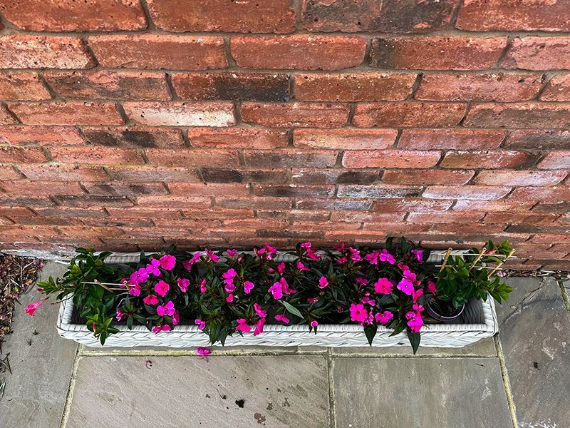 Wholesale Fiji Trough Planter