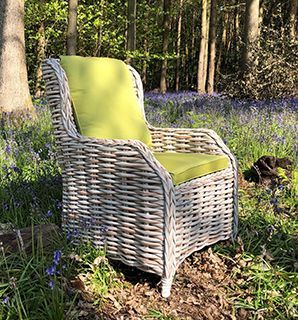 Wholesale Fiji Dining Armchair| PRE-ORDER