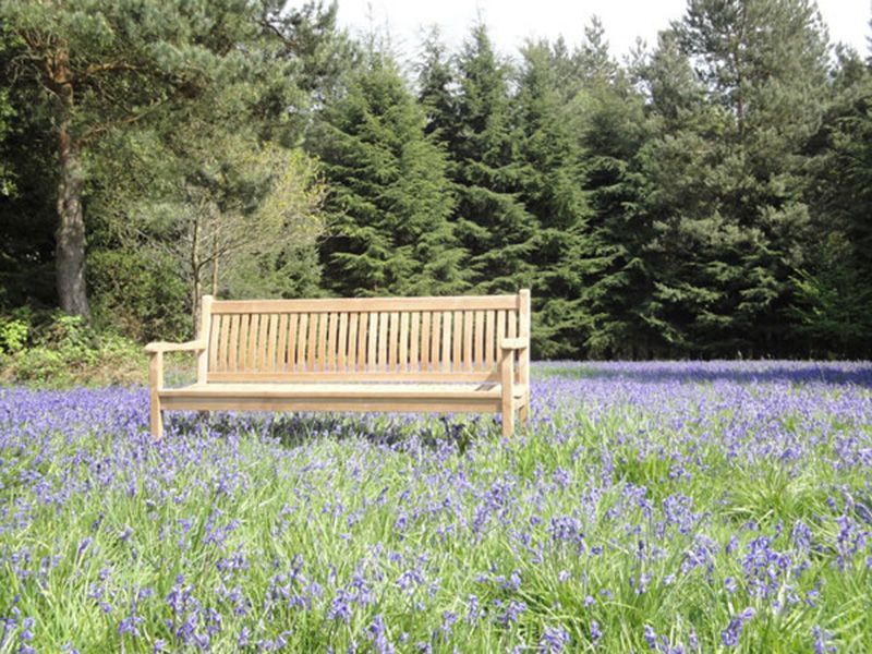 Wholesale Westminster Bench 1.8m