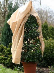 Garden Fleece
