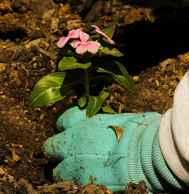 gardening 2
