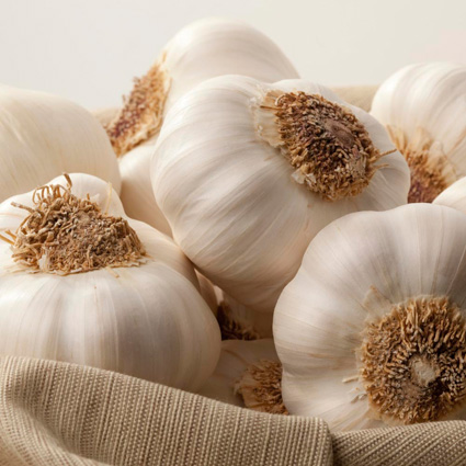 garlic-bulbs garlic