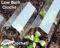 Garden Cloches