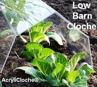 Garden Cloches