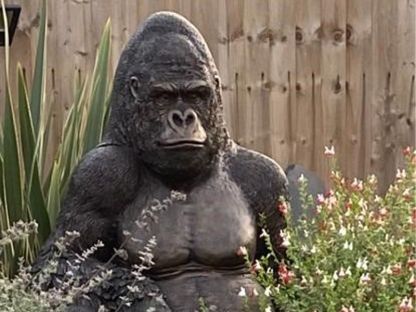 Wholesale Gorilla Ornament