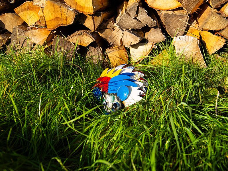 Wholesale Harry The Hedgehog 