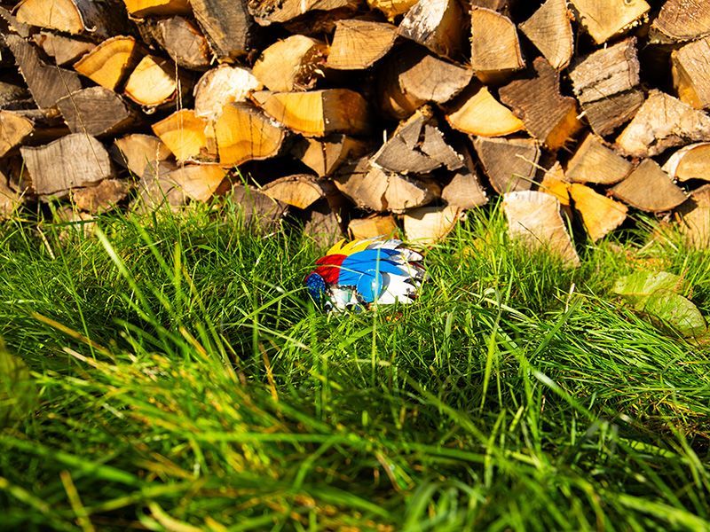 Wholesale Harry The Hedgehog 