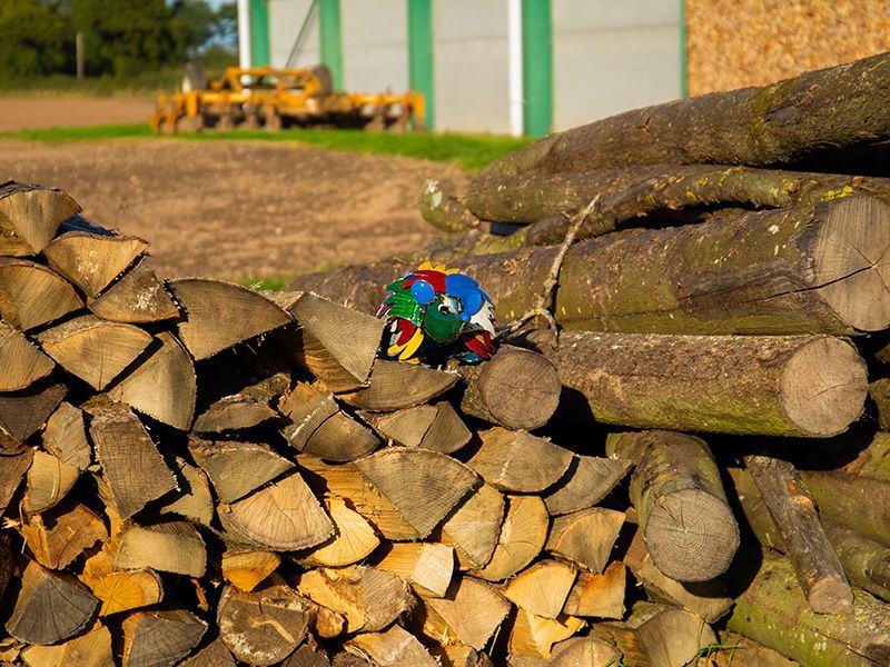 Wholesale Harry The Hedgehog 