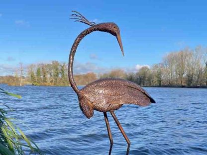 Wholesale Baby Brolga Turned Head
