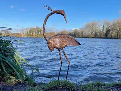 Wholesale Baby Brolga Turned Head