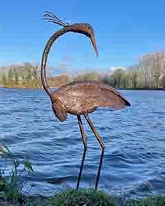 Wholesale Baby Brolga Turned Head