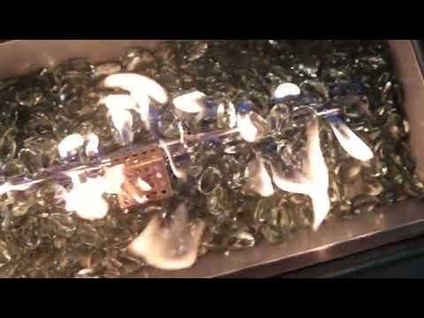 St. Tropez 6 Piece Suite With Firepit 