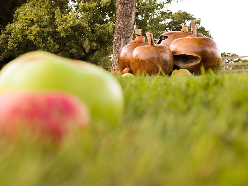 Wholesale Apple Wooden Ornament 