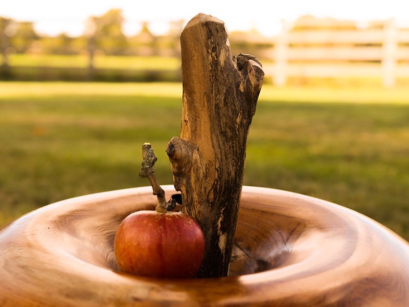 Wholesale Apple Wooden Ornament 