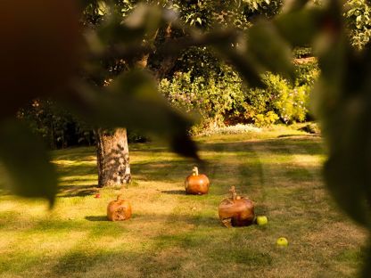 Wholesale Apple Wooden Ornament 