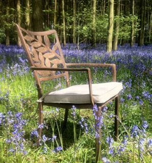 Wholesale Leaf Dining Chair