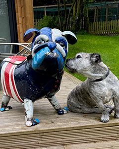 Wholesale Winston The Bull Dog | Pre-Order