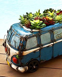Wholesale Kool Kombi Planter