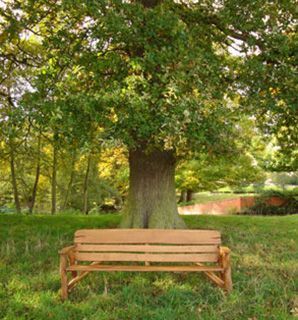 Wholesale Oak Bench 220cm
