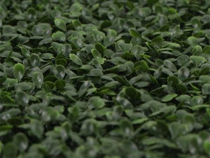 Wholesale Small Green | 50cm x 50cm