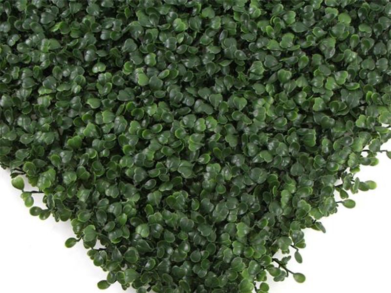 Wholesale Small Green | 50cm x 50cm