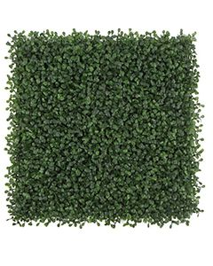 Wholesale Small Green | 50cm x 50cm