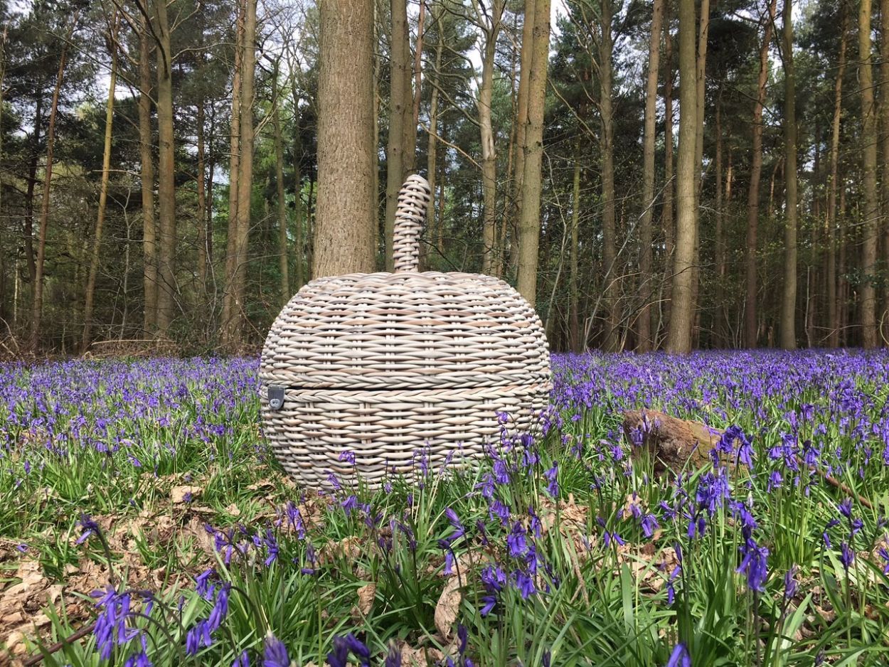 Wholesale Fiji Magic Apple Day Bed