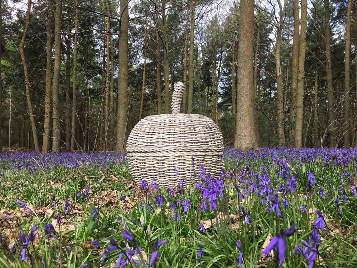 Wholesale Fiji Magic Apple Day Bed