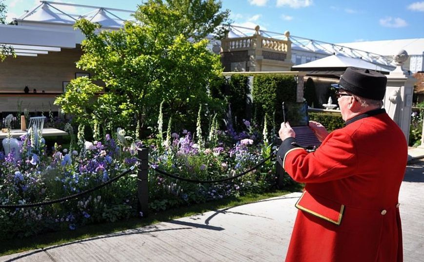 maths, medicine and a little madness at Chelsea Flower Show 2016
