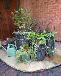 Wholesale Midnight Montana Basket