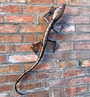 Wholesale Monitor Lizard