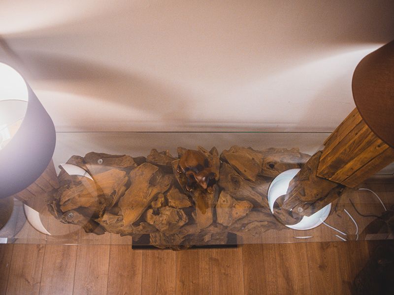 Regina Teak Root Console Table