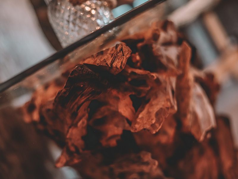 Regina Teak Root Console Table