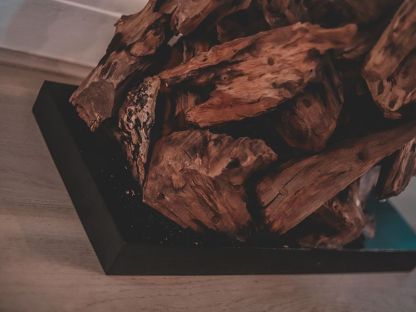 Regina Teak Root Console Table