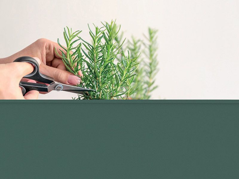 Wholesale Urban Garden Trolley | Olive Green