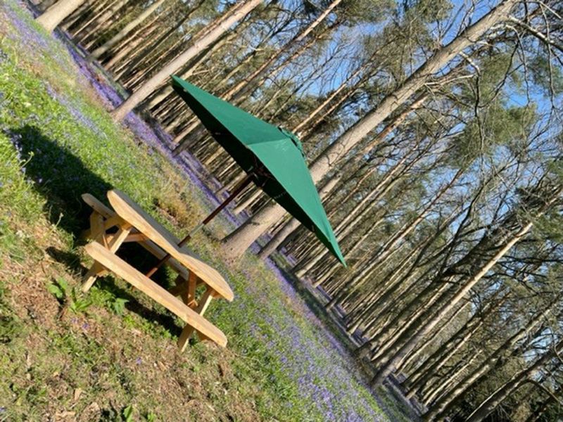 Whole Sale Hemlock 1.9M Picnic Table