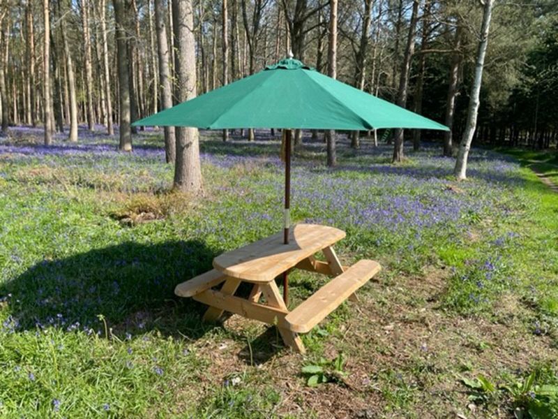 Whole Sale Hemlock 1.9M Picnic Table