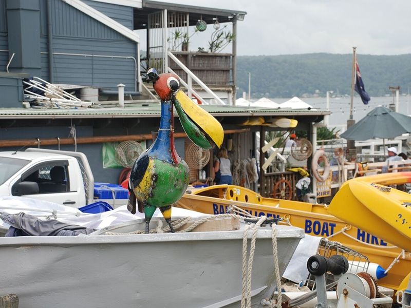 Wholesale Pete The Pelican Drinks Tub 